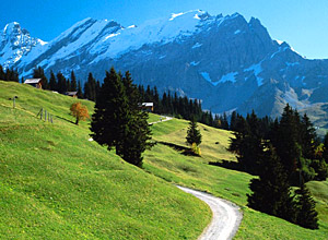 Пешеходные маршруты в Альпы